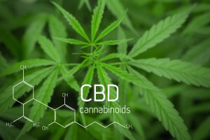 What are the Best CBD Oils